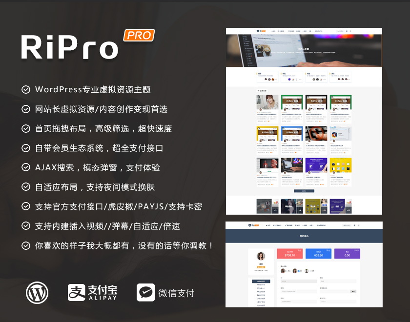 20231017193151424 WordPress素材源码付费下载/会员制主题RiPro